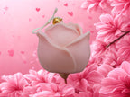 Rose parfumée cachemire & soie – 190 g FC3M Home