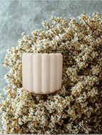 Bougie d’ambiance « Madeleine » – 130 g FC3M Home